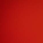 Bear White Profile Picture