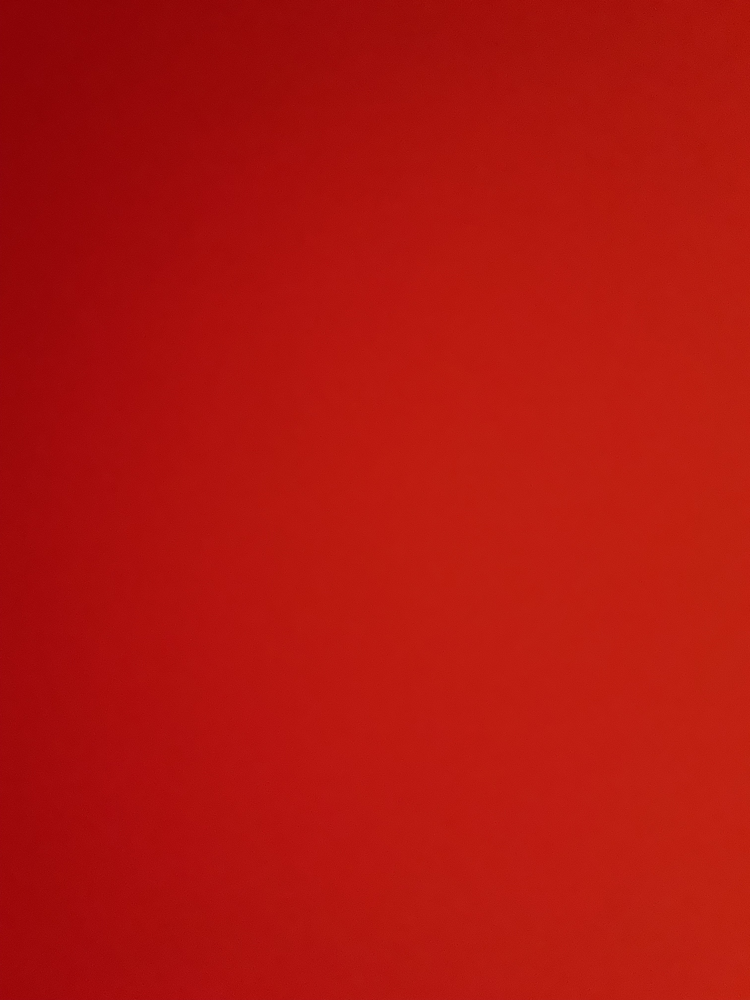 Bear White Profile Picture