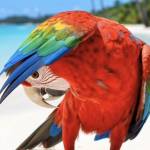 David Lankop Profile Picture